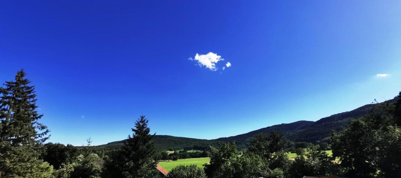A L'Arbre Vert Wintzfelden المظهر الخارجي الصورة